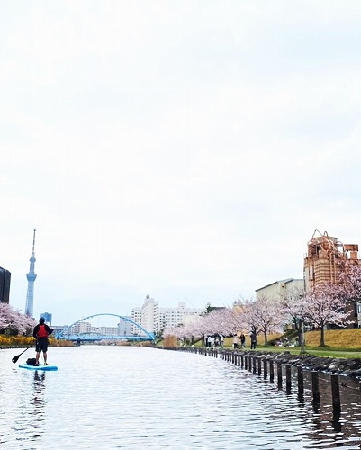 aandf_corp's tweet photo. ブログをご覧の皆様こんにちは、本店スタッフ高山です。皆様今年は花見（桜を見に）いきましたか？桜の楽しみ方は十人十色、勿論SUPでもお花見出来ちゃいます。【本店】 https://t.co/PPtLVtxYDD 
#ハラ #HalaGear #adventuredesigned #whitewaterdesigned https://t.co/jnYq8Jr9mg