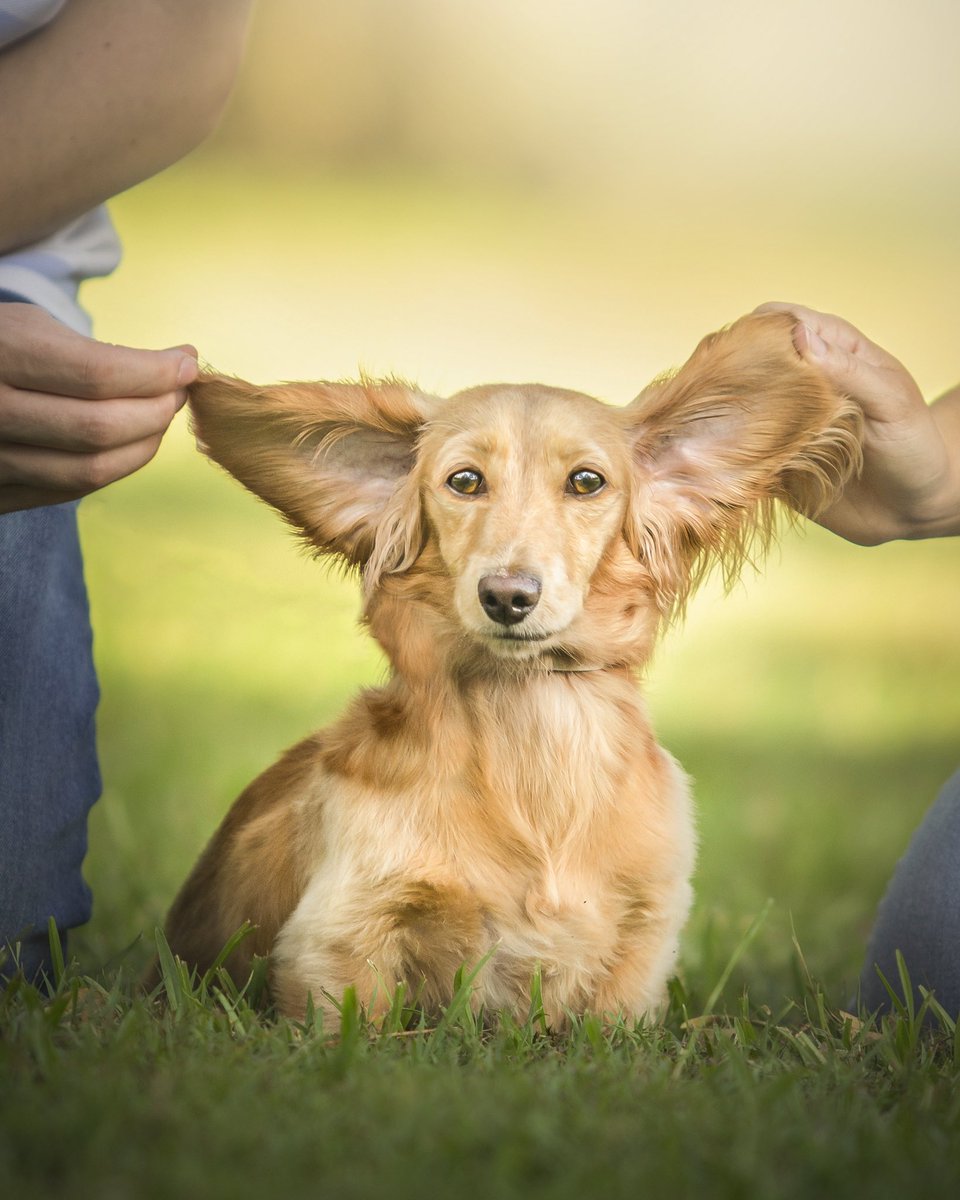 Courtraits tweet media