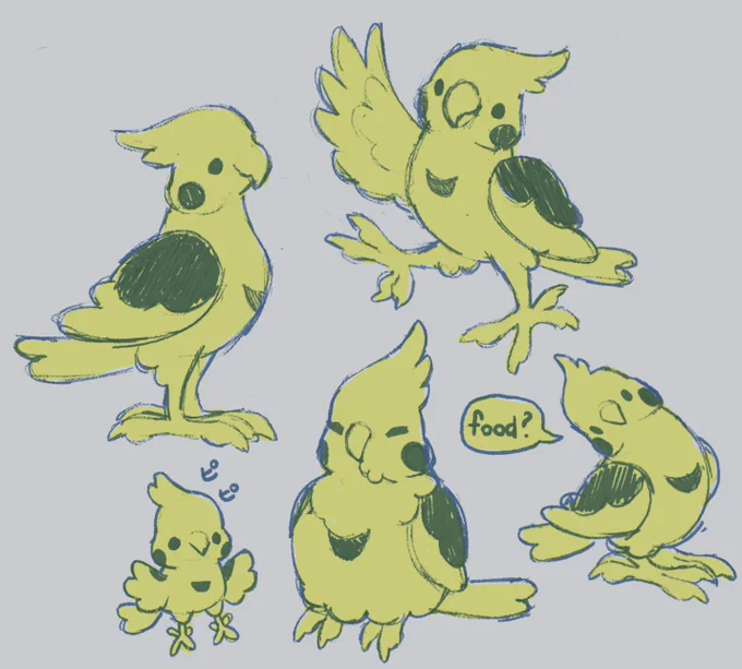 little bird sketchies 