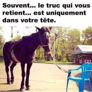 fofanaidriss191's tweet photo. 🤔#Often the only thing holding you back.............. Is In Your Head🫂. ...✍🏽
#Abidjan GAOU VÎT is #comfortable.
🌠 It's A #Magic_System https://t.co/TORd9lvFyg
