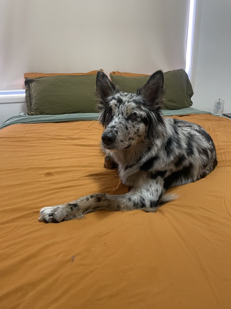 Courtraits tweet media