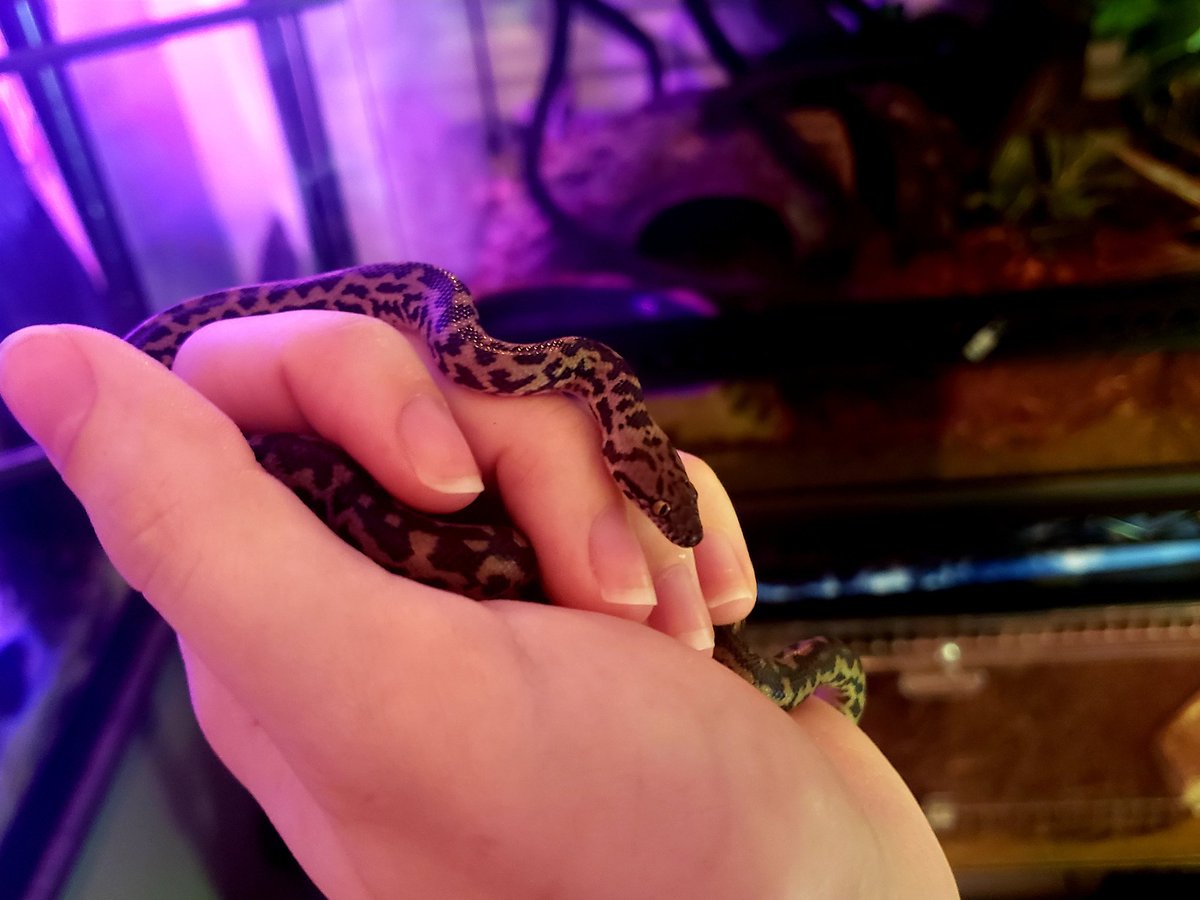 Bill🤘 tweet media