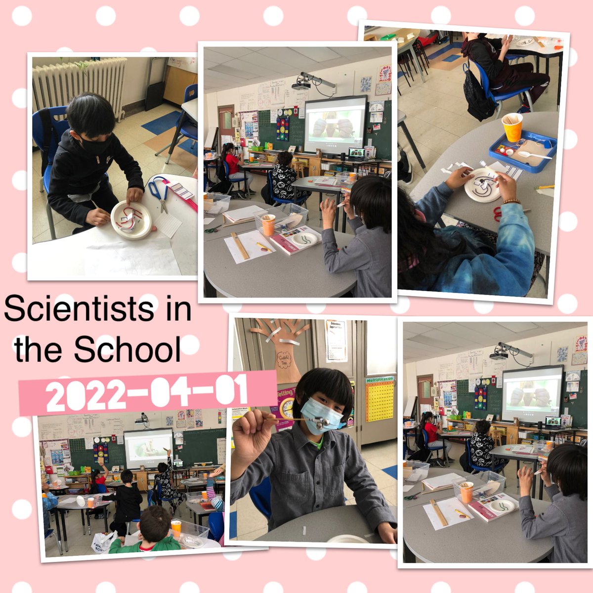 manzolm's tweet photo. ⁦@Sci_in_School⁩ ⁦@StAnthonyOCSB⁩ https://t.co/HqrYKLhQJS