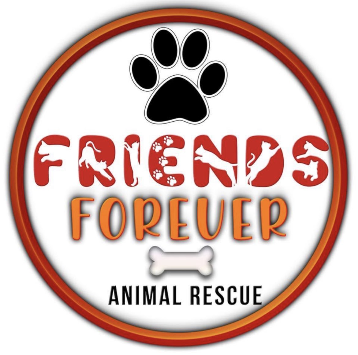 misssiversbees's tweet photo. Thank You Van Buren students and families for raising $1,144.64 for Friends Forever Animal Rescue! @wall_class @CroninBee @BCSDBEES https://t.co/nVH4XfFi0l