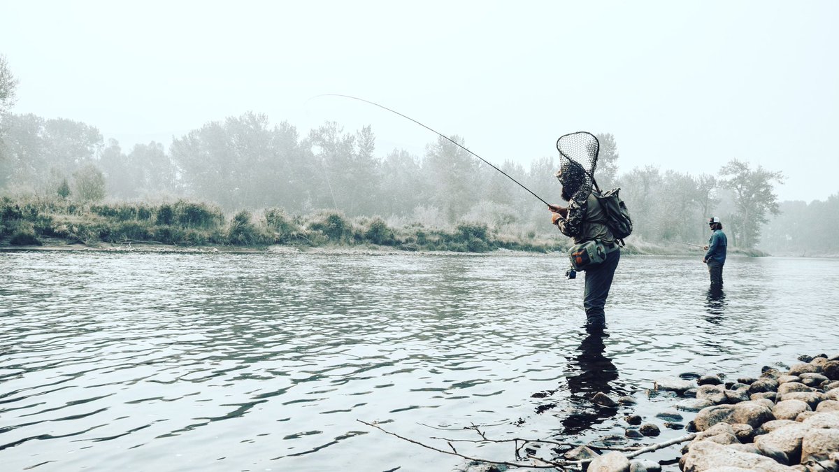 NativesFlyFish's tweet photo. @NativesFlyFish is on Twitter! Follow us! Fly Shop, guided trips in the hills of West Virginia for Musky, Trout, and smallmouth! #flyfishing #nativesflyfishing #trout #fish #catchcamnets #musky #bass #smallmouthbass #westvirginia https://t.co/Cridm8WYwn