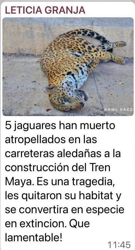 mariscastillooo's tweet photo. Que coraje!!! Maldito cacas HDSPUTISIMAMADRE https://t.co/hcPPxqTEIr