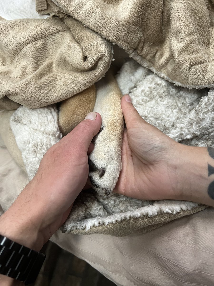 kmoney's tweet photo. we got to say our final goodbye 💔 https://t.co/TC6mdqy321