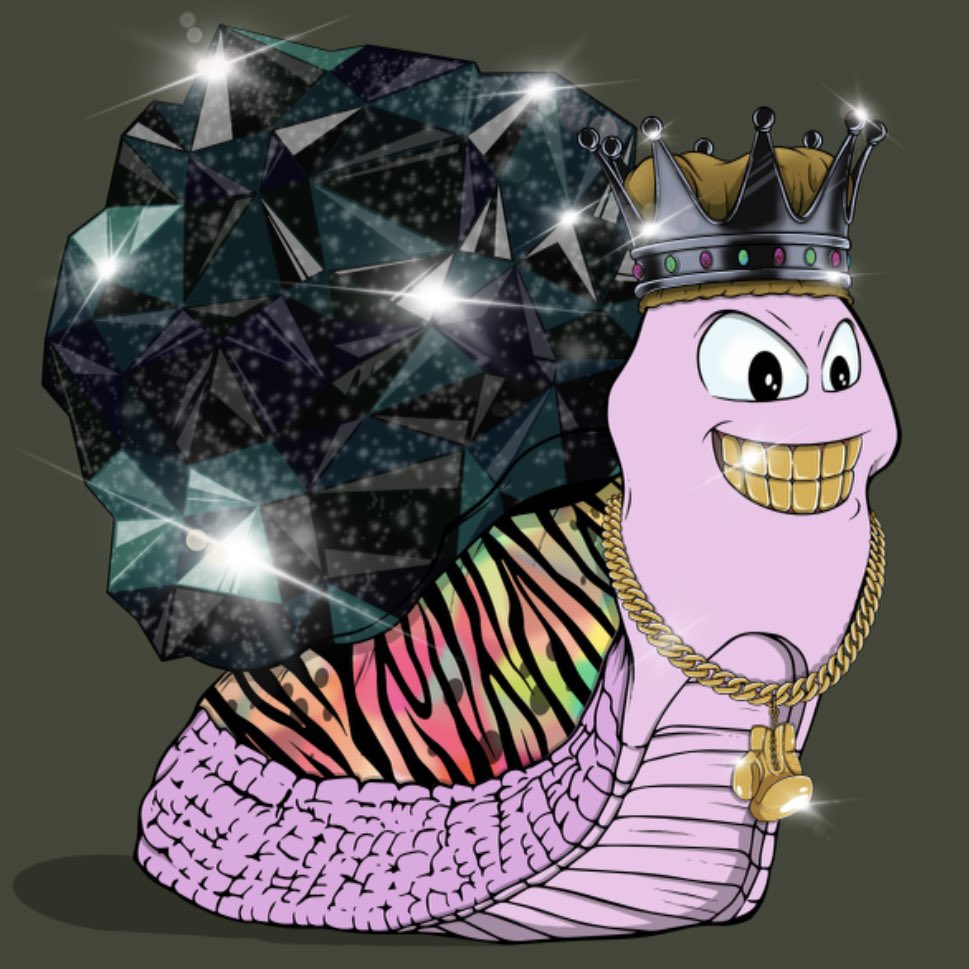 MC_MA ✳️🦈 tweet media