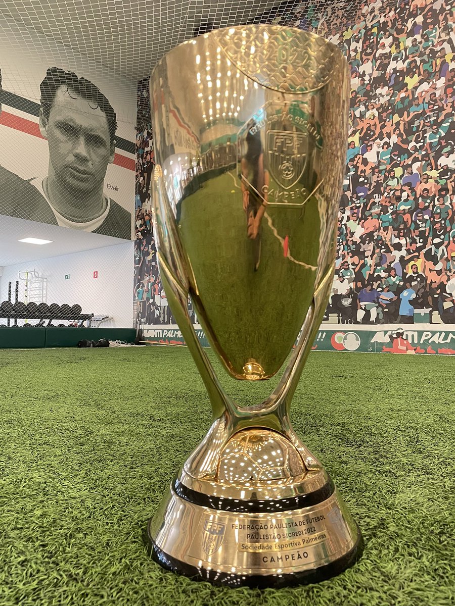 Palmeiras's tweet photo. O olhar de quem sabe o que é conquistá-la goleando um rival 👁💚

#NasceESegueCampeão
#AvantiPalestra https://t.co/yG9UGvCpKy
