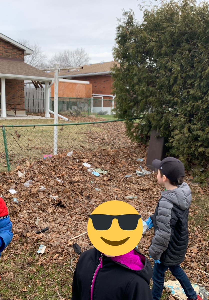 MrsMorrisTVDSB's tweet photo. My Grade 1 #EcoStars tackled the @SpringbankPS #GarbageIsland today! @hollypowell77 @TVDSB https://t.co/OKAoiJ3MRU