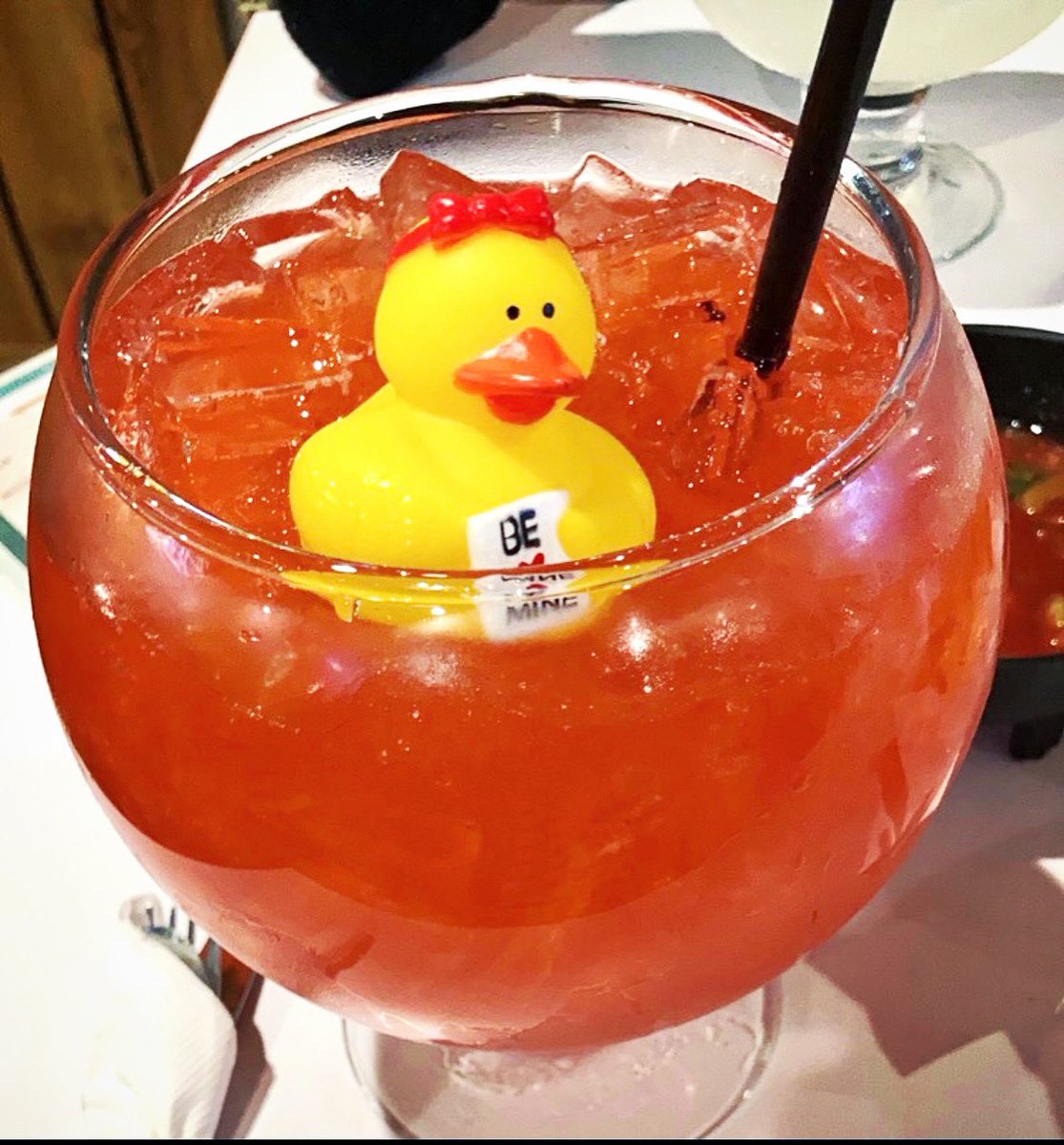 ElChihuahuaSLC's tweet photo. She cute π #DoTheDuckie #SLC #SaltLakeCity #utah #slceats #slcdining https://t.co/4jhCSuc6VN