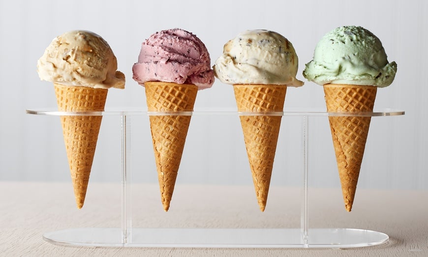 The Bunyip Collective tweet media