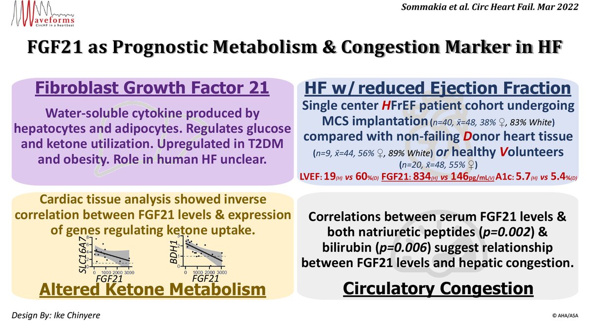CircHF's tweet photo. From our March Issue: FGF21 in human heart failure #AHAJournals | #GraphicalAbstract from #CircHFWaveforms team @IkeRChinyere | Read the full study: https://t.co/HsYDqIp4QF @ChaudhuriLab @StavrosDrakos https://t.co/7NQ9sG6XMX