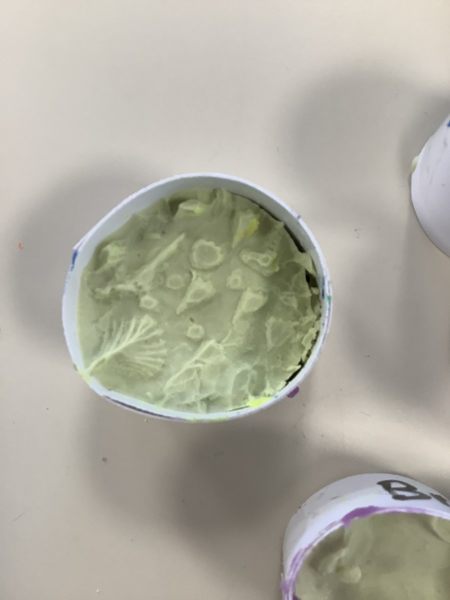FalmouthPrimary's tweet photo. Our Lobster Class had a go at making their own fossils using alginate to set the mould. They were really impressed with how well they came out and the detail. #creativescientists #learningfun https://t.co/fGjrAoqyDq