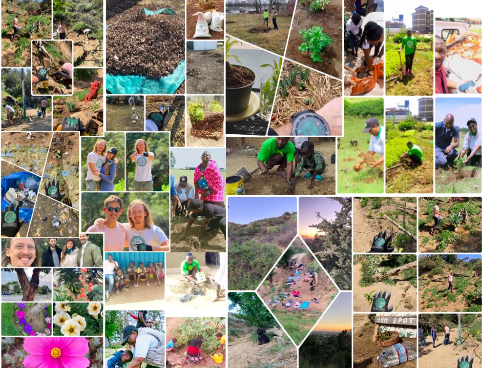 EverGreenCoin_'s tweet photo. Every day EverGreenCoin community members are doing their part to make a better world *and* earning $EGC while doing so! ๐ ๐ ๐
Join us at https://t.co/IvIthfE9LD
#EverGreenCoin #EGC #ProofOfEnvironment #PoE #Environment #SaveThePlanet #cryptocurrency #cryptogiveaway #altcoin https://t.co/fxUk9pazGv
