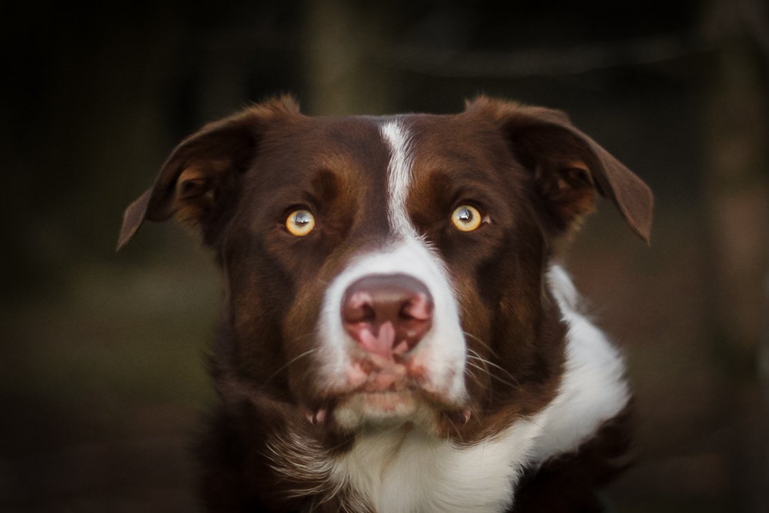 Murphy & Fly tweet media