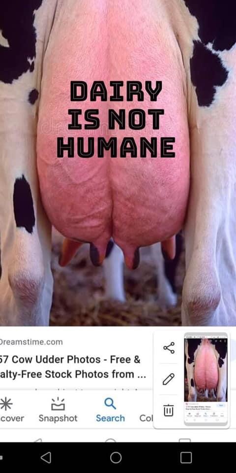 Gary yourufsky said: dairy is not humane
İ am saying: dairy is humane
We are not human ör avatar!
There is nothing humane about dairy for the slaves who produce the milk. Some will be dehorned and have their tails docked. They are made pregnant: