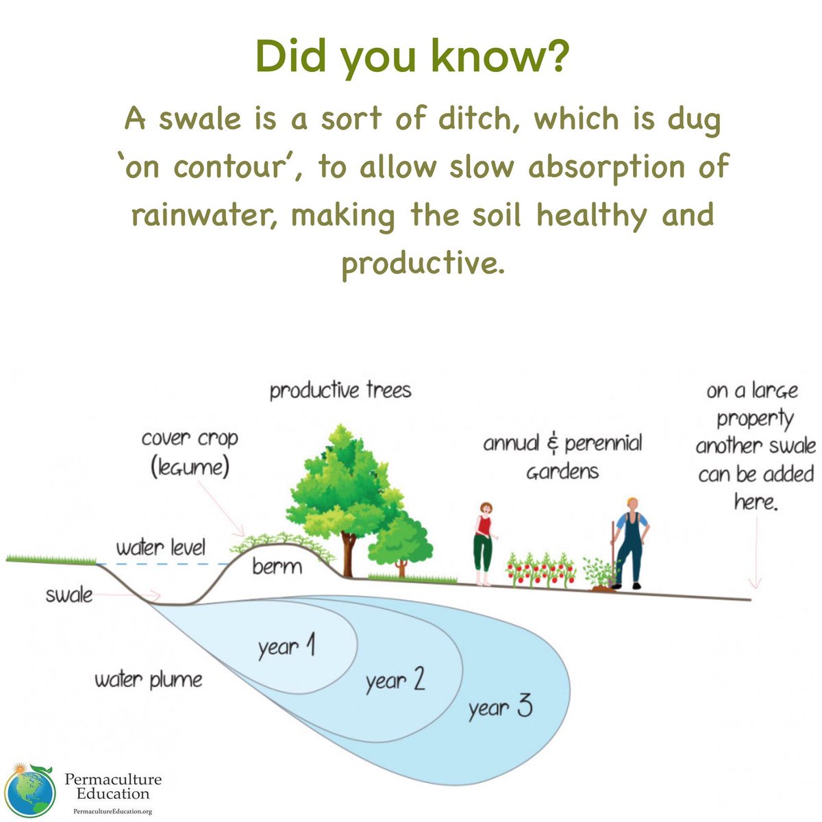 #permakultur #permacultureprinciples #permaculturedesign #permaculturegarden #regeneration #regenerativefarming  #sustainability #regeneration #composting #waterconservation #soilscience #soilfoodweb #permaculture #swales #swailing #bioswale #waterharvesting #rainwaterharvesting