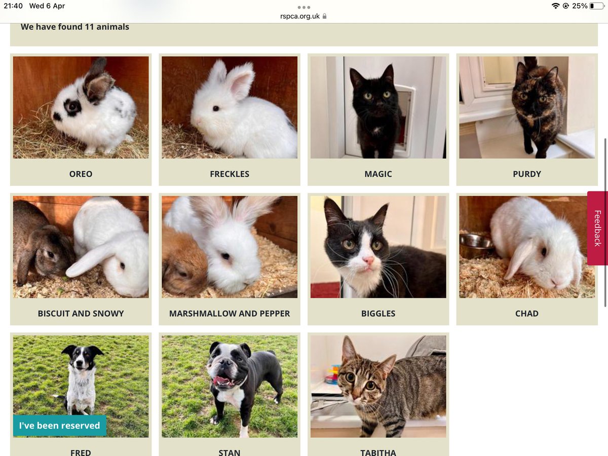 Please use the following link for information on the animals in our care:

rspca.org.uk/local/cheltenh…