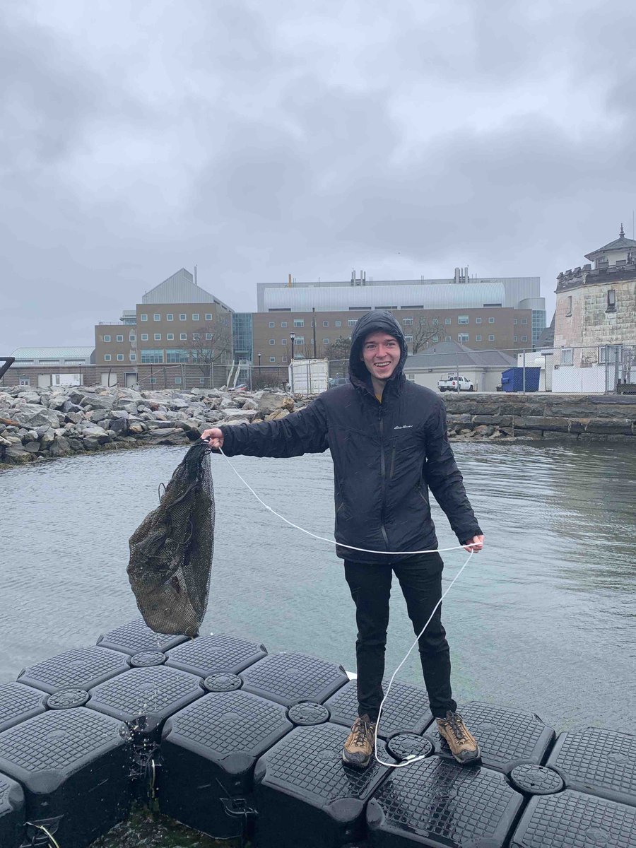 jessiesturner's tweet photo. When you need to measure some marine-harvested plastics on a rainy day, you rig up some DIY sunshine in the lab! Graham, @UConnMarineSci grad student, is prepping to measure plastics at sea in the Pacific Ocean. @heididier https://t.co/rvQpJD1JZ0