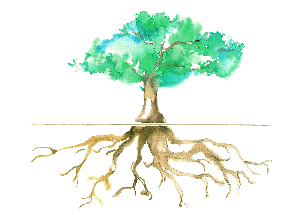 ccna_ccnv's tweet image. CCNA&apos;s Talking Brain webinar series:

Indigenous engagement and data governance in practice

April 27th, 2022

With speakers: Robyn Rowe and Jennifer Walker
More info: ccna-ccnv.ca/talking-brains…