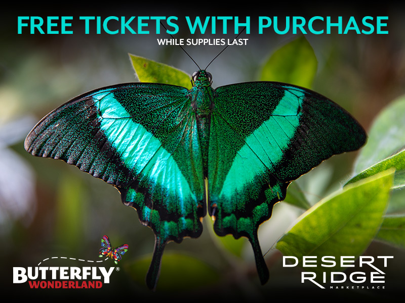 Don't let your shopping spree go to waste. When you spend $250 in one day at Desert Ridge Marketplace, you can get two free tickets to Butterfly Wonderland.