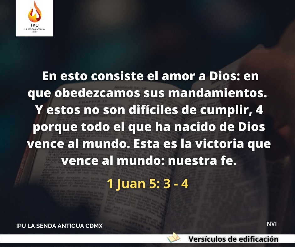 IPULSACDMX's tweet photo. https://t.co/cVd3E2Jg2f