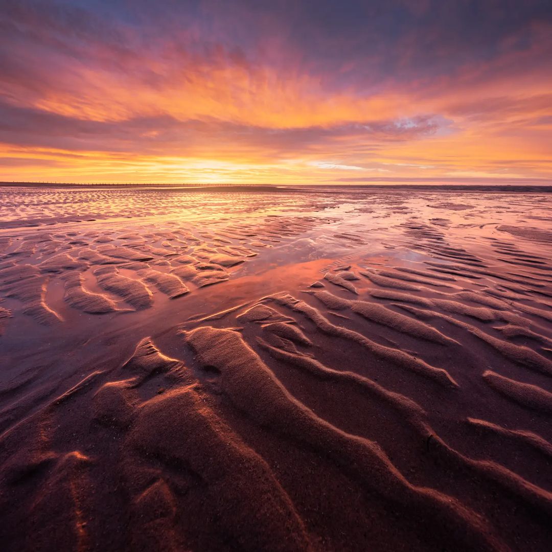 De kleuren van Nederland! ❤️

📸 Ellen van den Doel #Goedemorgen