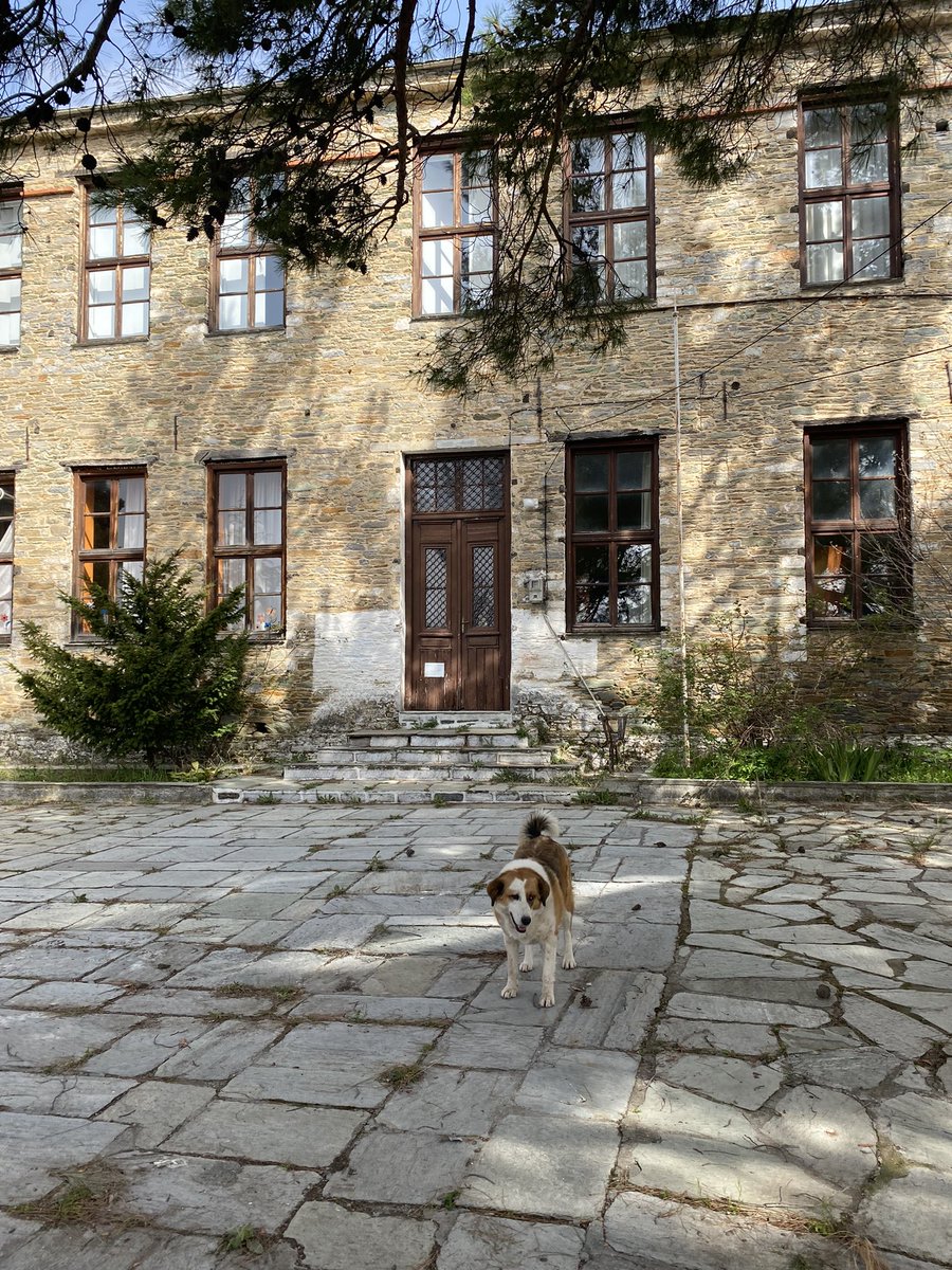 PelionSummerLab's tweet photo. Going to bring a lot of love and energy back to this place! #PSL2022 #loading #morethanhuman https://t.co/IxdmZg7c34