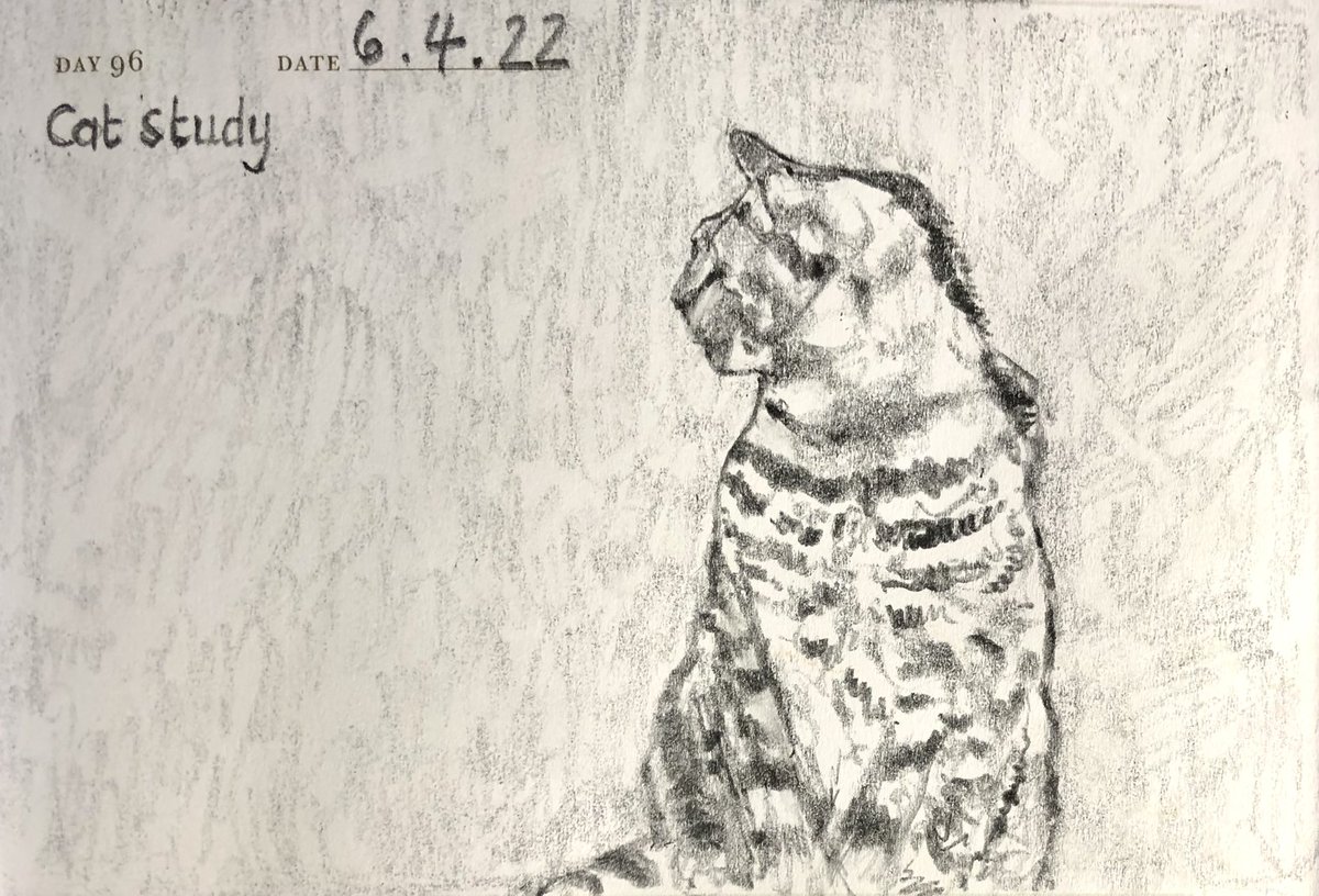 Venster67's tweet photo. One Sketch A Day 6.4.22
‘Cat study’
#catstudy #cats #feline #onesketchaday #sketchbook #visualdiary #art #illustration #pencilsketch https://t.co/xd5nq86p9K