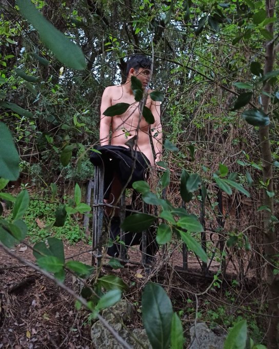 ?RT si te gusta jugar al pilla pilla o escondite en el bosque ???
Aver si encuentro a alguien para jugar
