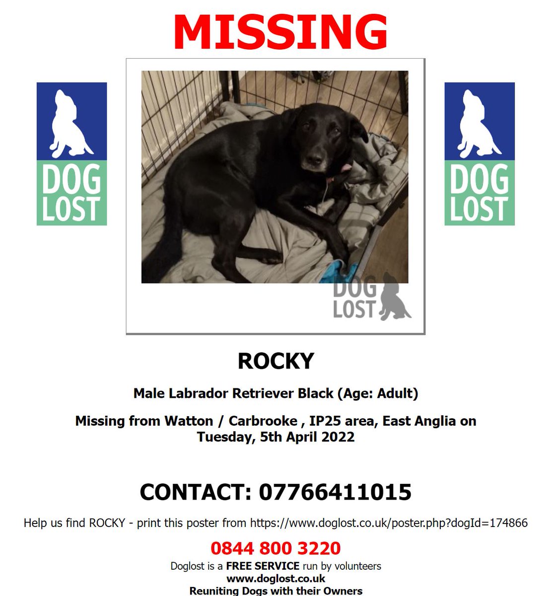 DogLost Norfolk Suffolk & Cambridgeshire tweet media