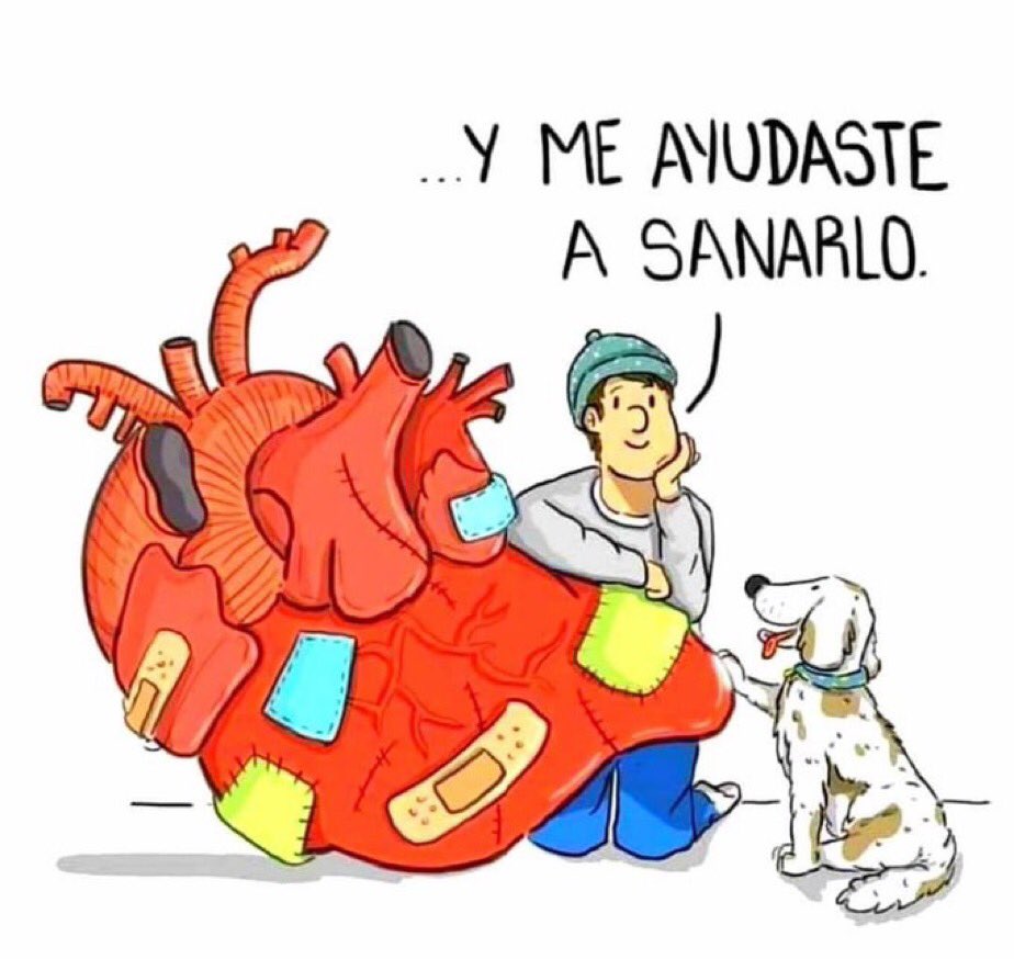 iRazasdePerros's tweet photo. Siempre lo hacen 😌 https://t.co/Gn0Qt2JKfb