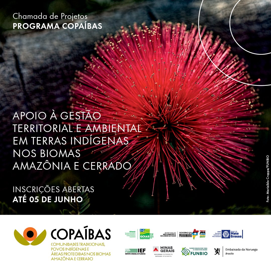 funbio's tweet photo. 📢 Povos #Indígenas do #Cerrado e #Amazônia, oportunidade chegando! O #ProgramaCOPAÍBAS está com chamada de projetos aberta até 5 de junho. O objetivo é apoiar a gestão territorial e ambiental de Terras Indígenas dos dois biomas. Saiba mais em https://t.co/lgaMZyruxs. #funbio https://t.co/UKW8s0vGgq
