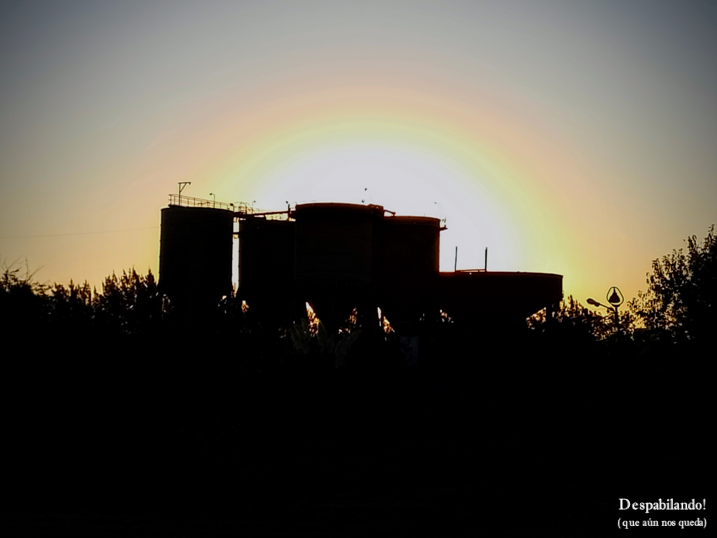 DespabilandoOk's tweet photo. “Alzo la frente un instante, de donde vivo agobiado, y en el espacio distante veo al sol caer dorado…” (#Abertura #FernandoPessoa)
Desde el lecho del río las arenas del #RíoParaná. Una alegoría que es también zarateñidad.
#Despabilando! (que aún nos queda) #Zárate https://t.co/6PNsWp6Lao