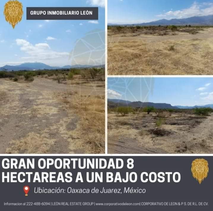 l_mgroup's tweet photo. #GranOportunidad  Aprovecha esta gran oferta 8 hectareas a un super precio.
● Precio accesible. 
● Perfecto para construcción
● Perfecto para la siembra

Más información al 222 488 6074  

https://t.co/4FIgzziUxs
 #GrupoInmobiliarioLeon  #VentadeLotesen #TerrenosenOaxaca https://t.co/56WwksxoY5