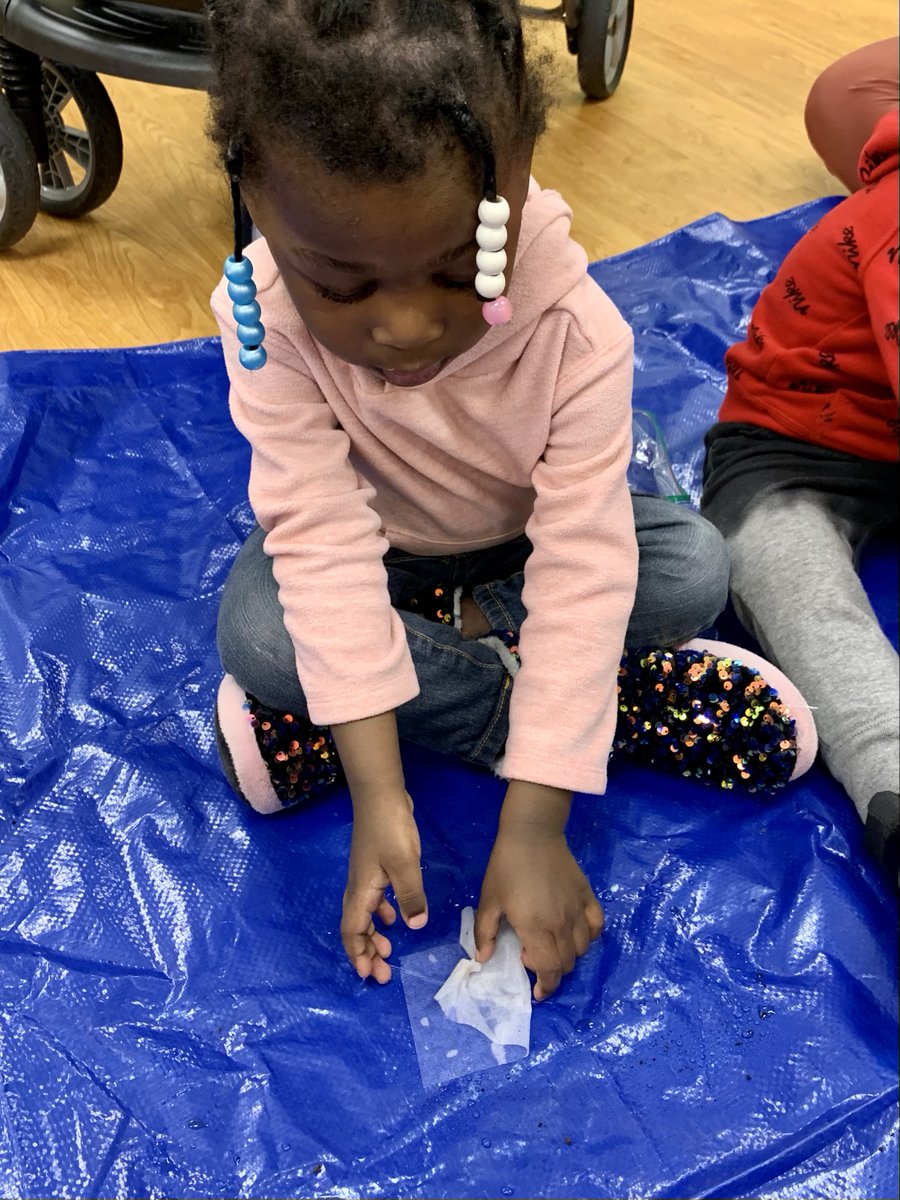 Penfield tweet media