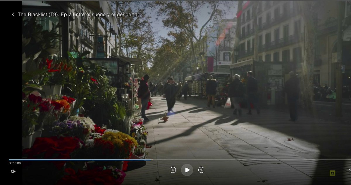 atorrentx's tweet photo. The Blacklist, temporada 9 episodi 7, inclou una imatge de la Rambla de les Flors; just abans que Donald Ressler entri en una floristeria a comprar flors. https://t.co/LyLORM6Mfu