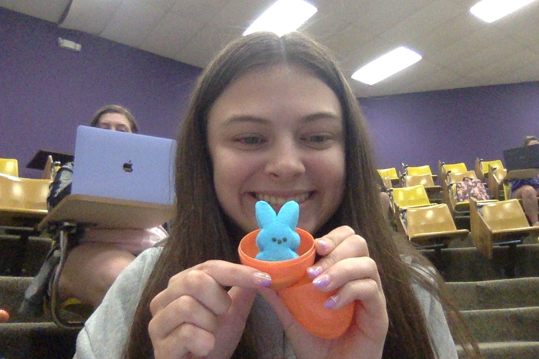 Chloe Neal tweet media