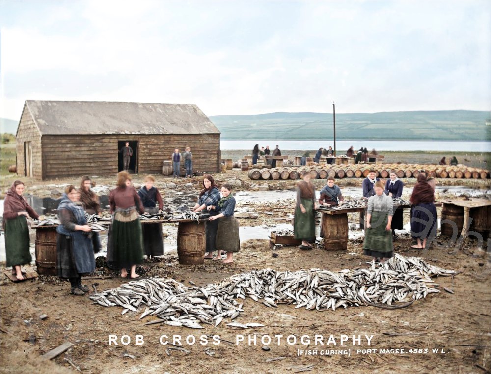 Bringing #Ireland's #History to Life 🇮🇪🐟🔪
My colourised Robert French c1880 photo of Portmagee Fish Curing, Co. #Kerry with Valentia Island in the background. The village of Portmagee (An Caladh, meaning 'the ferry') is located on the Iveragh peninsula.
📚#TheColourOfIreland