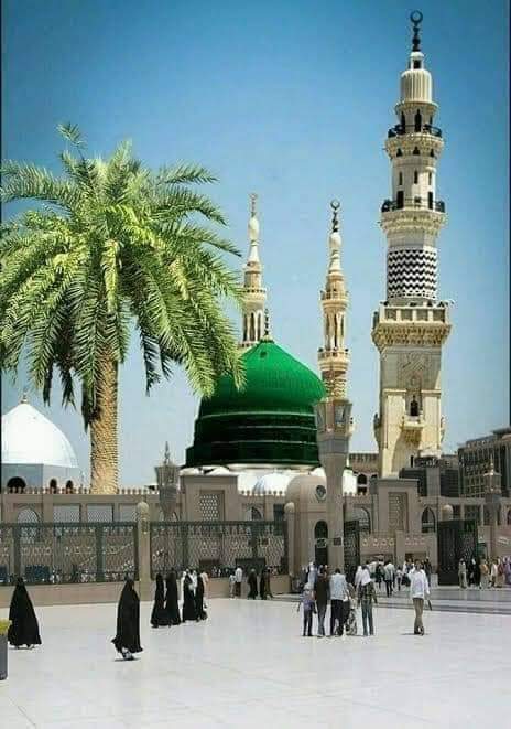 🌹💢 السلام علیکم ورحمتہ اللہ 💢🌹

🌹 صبح بخیر 🌹

          🌷 پاکستان 🌷
        🍀بصدقہ
۔  حبیب کبریا 🍀