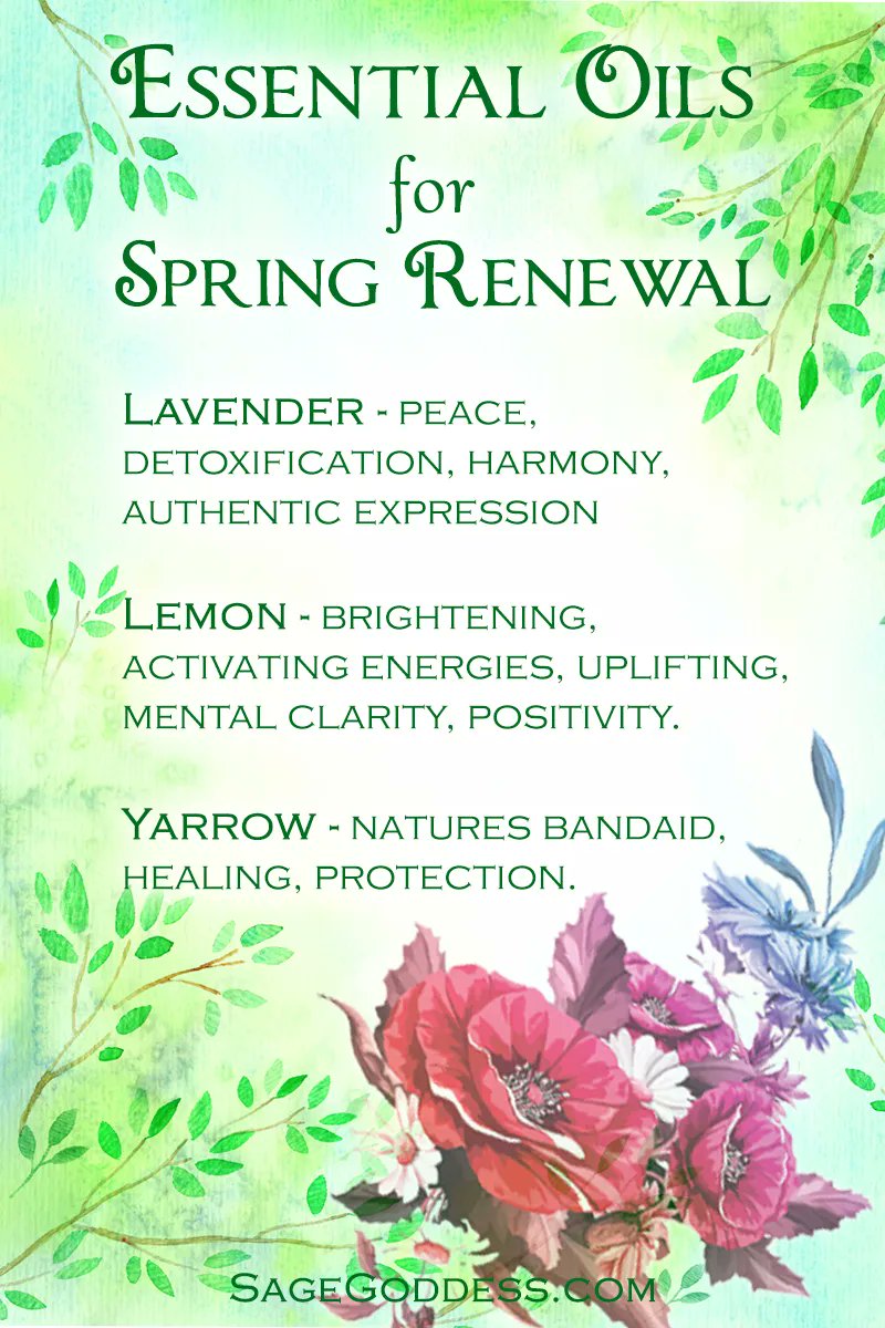 TheSageGoddess's tweet image. #Aromatherapy is one of my FAVORITE forms of magic✨🌷🧴️ #Anoint yourself with this sacred blend to embody the sacred energy of the spring season 🪺🤍🌱 Check out our essential oils, here: buff.ly/3B9romc