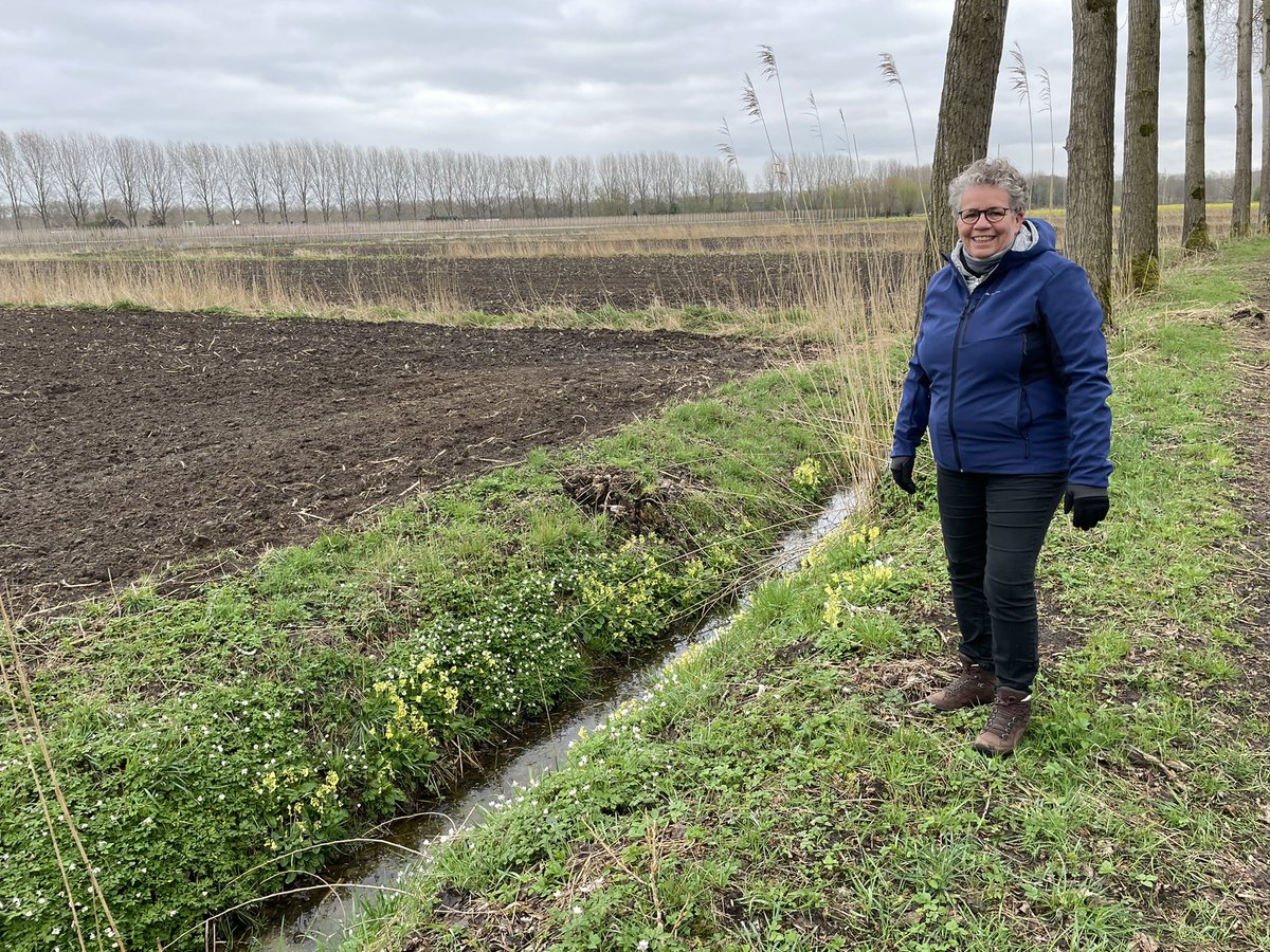 MadoRuys's tweet photo. Bosanemonen en prachtige sleutelbloemen. Werkwandelen met Désiré van Laarhoven @Dvl42 @Boxtel in De Scheeken. Genoeg te bespreken #ecologischeverbindingszone #leembossen #nattenatuurparel @InHetGroeneWoud @mozaiekdv #klimaatadaptatie #landbouwtransitie @wddommel https://t.co/z4ZH1Jslx2