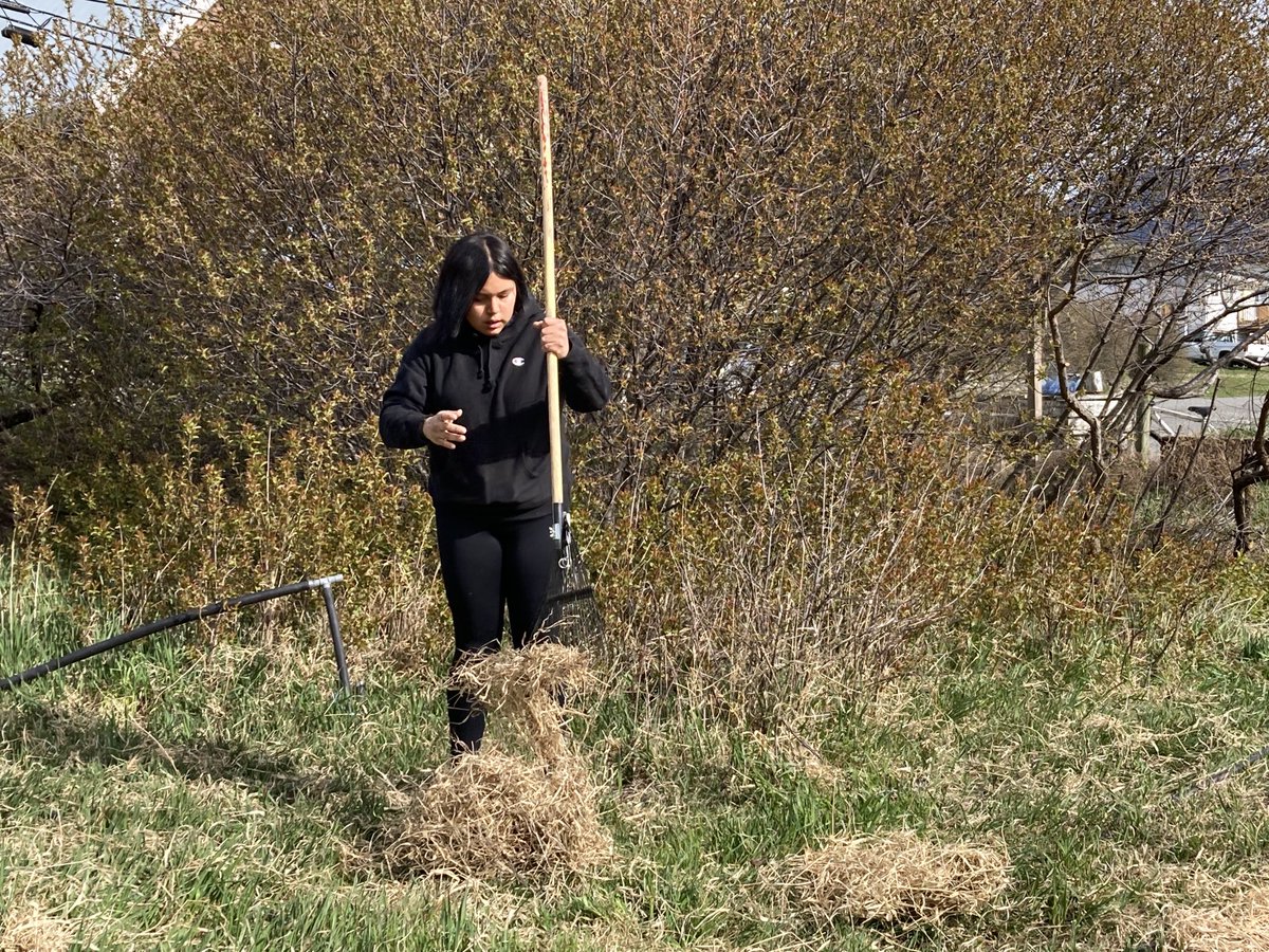 ajgadd's tweet photo. Within walking distance from the Lillooet Secondary is a fabulous learning environment. This cohort of grade 8/9s will be learning on, with and from the land here at the garden. 

This is a #growinginnovation https://t.co/31DE9T2QA1
