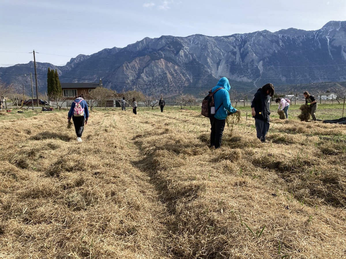 ajgadd's tweet photo. Within walking distance from the Lillooet Secondary is a fabulous learning environment. This cohort of grade 8/9s will be learning on, with and from the land here at the garden. 

This is a #growinginnovation https://t.co/31DE9T2QA1