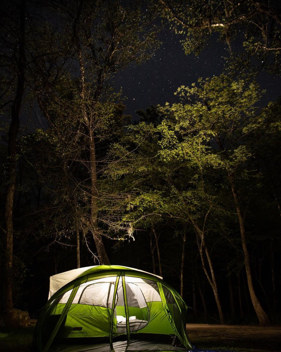 POV: You're settling in under the stars after a beautiful day of exploring all Ginnie Springs has to offer. 🏕🌌

📸 _nomie