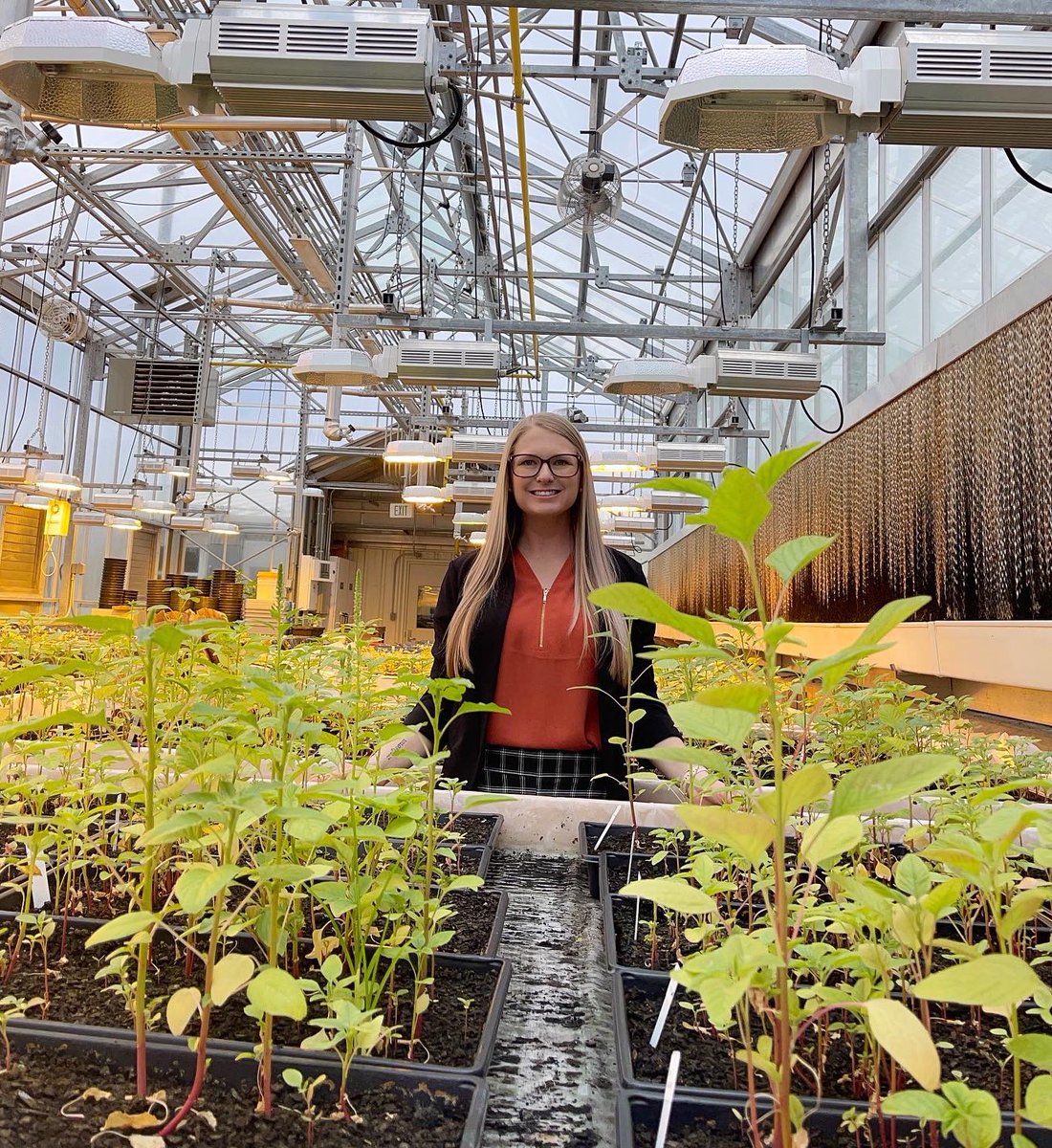 DelaneyCaitlin_'s tweet photo. Today I passed my written and oral doctoral qualifying exams and officially became a PhD candidate! 
Shout out to Palmer amaranth for being a cool weed and giving me a job for the last 8 years 🌱 https://t.co/agP8IZD7pz