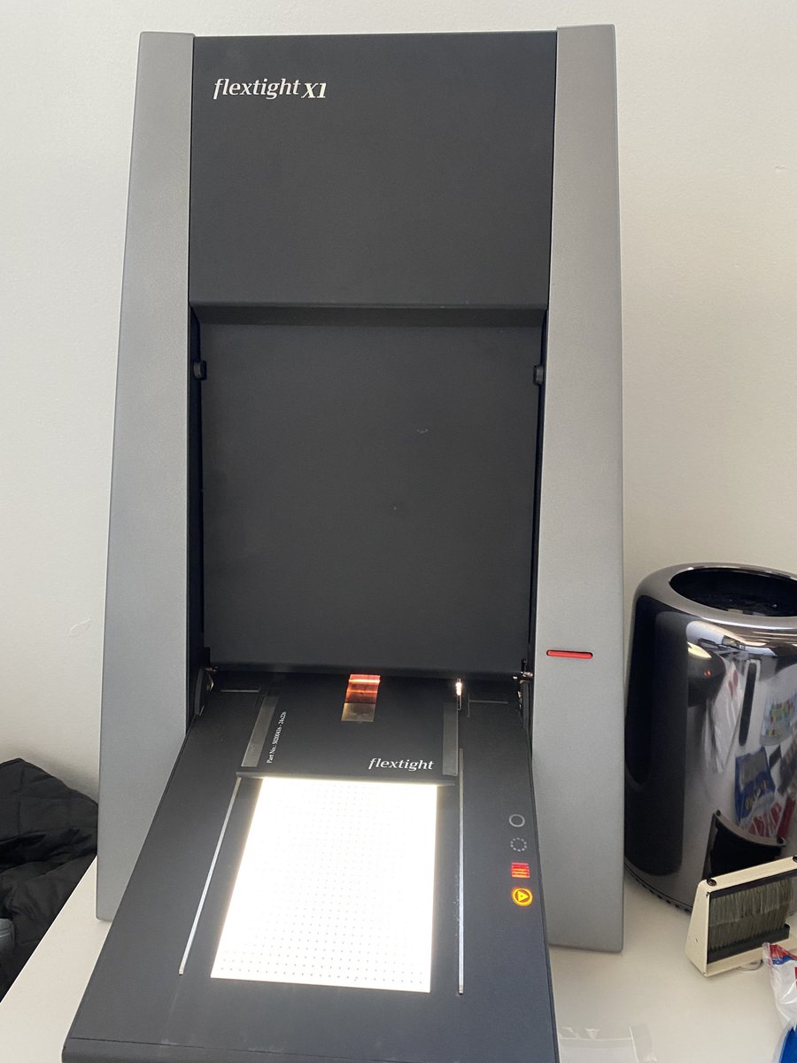 Stephen Vanasco tweet media