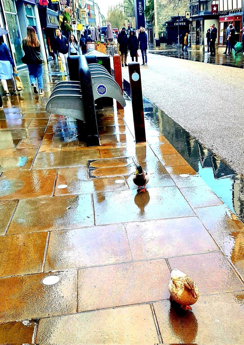MariaMo32975161's tweet photo. Oxford where shoppers turned up late for a bit of discount shopping at M&S yellow label #CostOfLivingCrisis #DucksFlyTogether #JohnsonOut69 #BrexitHasFailed https://t.co/ZZZbml7ais
