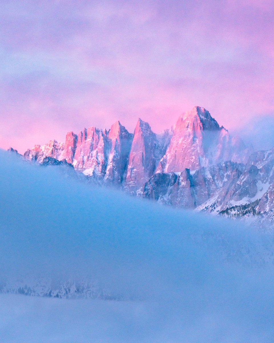 pastel papi tweet media